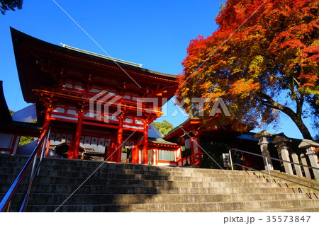 近江神宮 秋 近江神宮 秋 35573847
