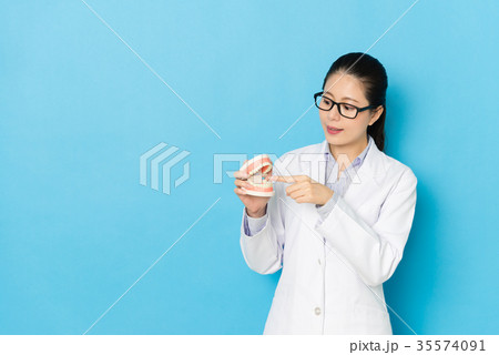 elegant woman dentist doctor pointing teeth mold 35574091