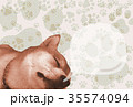 寝正月 35574094
