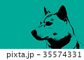 キリッと和犬 35574331