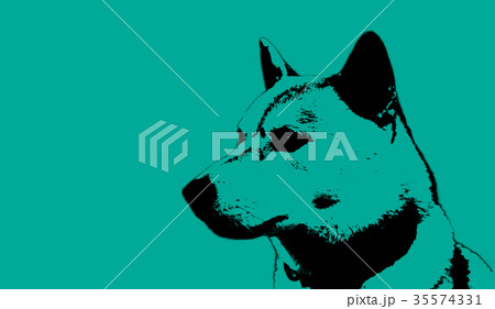 キリッと和犬 35574331