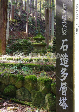 信州上田の文化財　常楽寺石造多層塔　散逸した石塔を集めた　市指定文化財 35574785