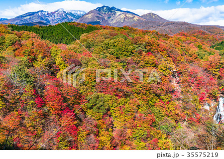 《栃木県》紅葉の霧降高原 《栃木県》紅葉の霧降高原 35575219
