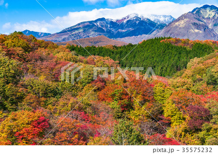 《栃木県》紅葉の霧降高原 35575232