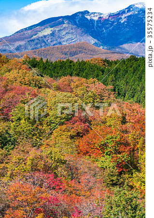 《栃木県》紅葉の霧降高原 35575234