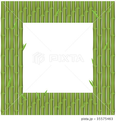 Bamboo branches is rectangular position for frame Bamboo branches is rectangular position for frame 35575463