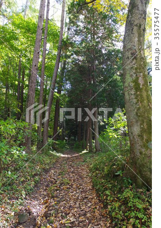 信州 上田の史蹟 塩田城跡 大手門に向かう道 鎌倉北条氏三代が統治した独鈷山北山麓の山城跡 信州 上田の史蹟 塩田城跡 大手門に向かう道 鎌倉北条氏三代が統治した独鈷山北山麓の山城跡 35575477