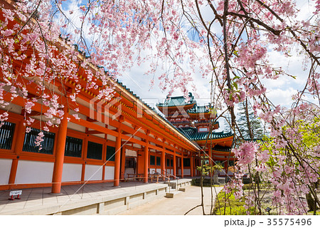 平安神宮 白虎楼と桜 京都府京都市左京区 ※2017年4月撮影 平安神宮 白虎楼と桜 京都府京都市左京区 ※2017年4月撮影 35575496
