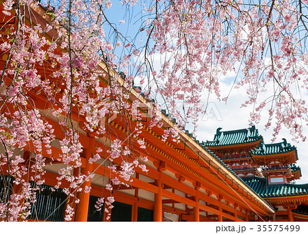 平安神宮の春 白虎楼と桜 京都府京都市左京区 35575499