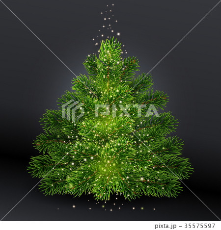 Realistic Christmas green tree without toys. Realistic Christmas green tree without toys. 35575597