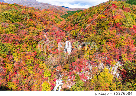 《栃木県》紅葉の霧降ノ滝 《栃木県》紅葉の霧降ノ滝 35576084
