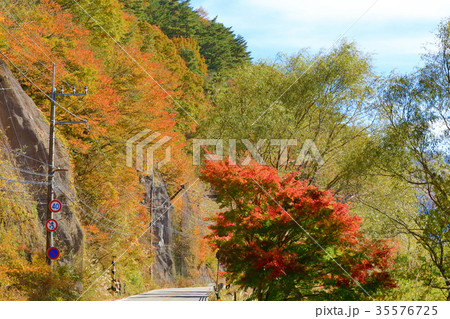 西湖の紅葉の風景（山梨県） 35576725