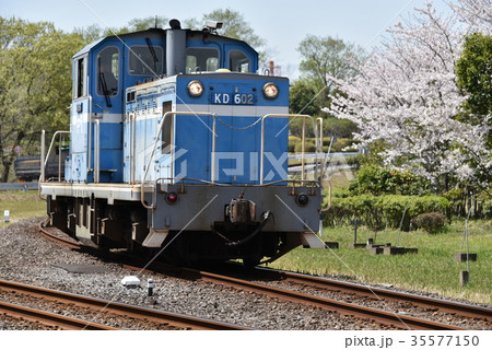 桜と貨物列車 桜と貨物列車 35577150