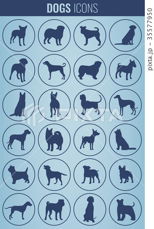 Dog breeds silhouettes. Dog icons collection 35577950