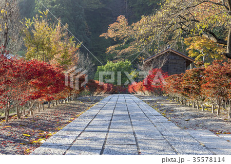 別所温泉塩田平・中禅寺 35578114