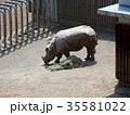 柵の中のサイ 35581022