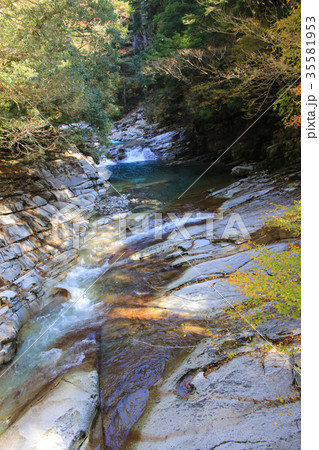 愛媛県久万高原町 面河渓 蓬莱渓 愛媛県久万高原町 面河渓 蓬莱渓 35581953