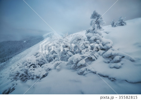 Fantastic winter landscape 35582815