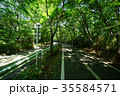 多摩湖サイクリングロード 35584571