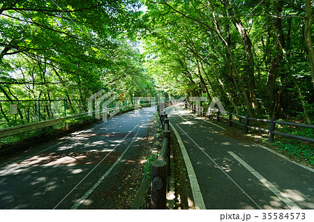 多摩湖サイクリングロード 35584573