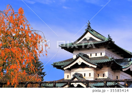紅葉と弘前城天守閣 紅葉と弘前城天守閣 35585414