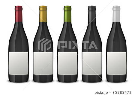 blank wine bottle vector