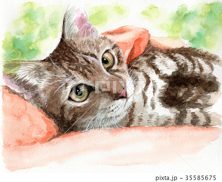 水彩で描いた抱っこされている猫のイラスト素材