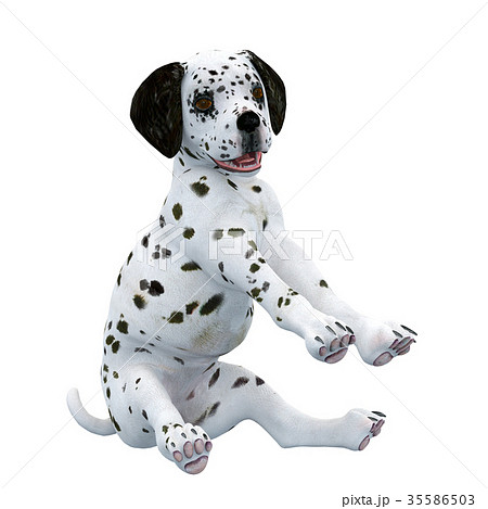 ダルメシアン犬のイラスト素材