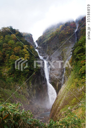 日本一の落差 称名滝 日本一の落差 称名滝 35586859