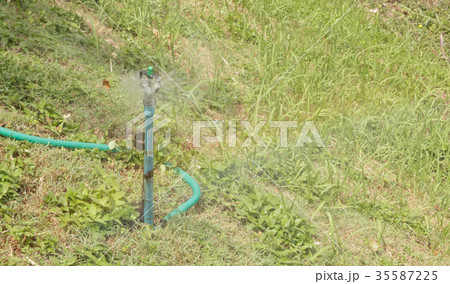 Springer for water injection 35587225