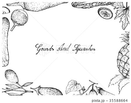 Hand Drawn of Gourd and Squash Fruits Frame Hand Drawn of Gourd and Squash Fruits Frame 35588664