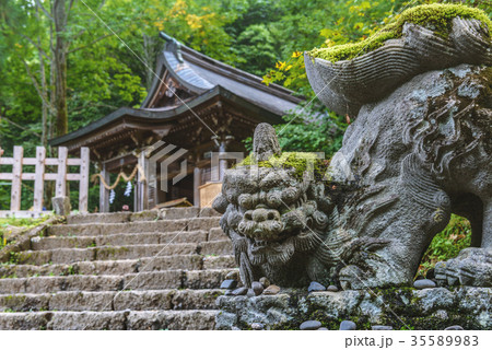 戸隠神社奥社の狛犬 35589983