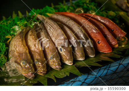 Fresh fish on display Fresh fish on display 35590300