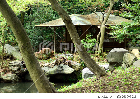 六義園 滝見茶屋 35590413