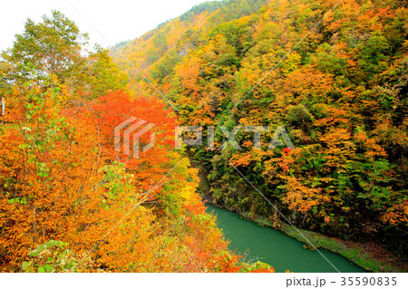 紅葉　長内渓流　秋 35590835