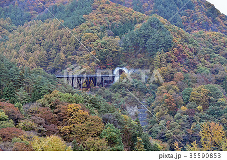 吾妻の秋 35590853