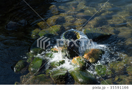 水が湧き出る場所 水が湧き出る場所 35591166