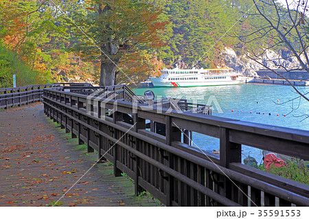 浄土ヶ浜　木道 35591553