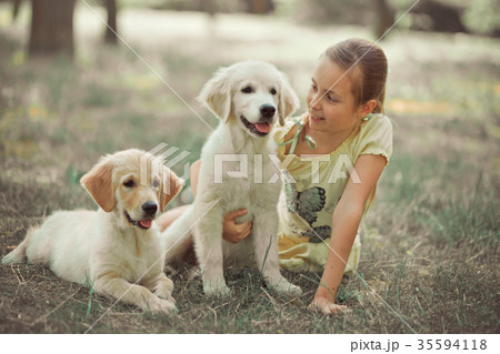 Retriever pup Lovely scene cute young teen girl  35594118