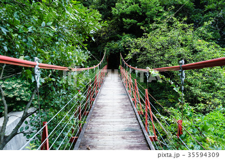 御殿山さくらつり橋 35594309