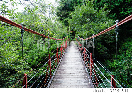 御殿山さくらつり橋 御殿山さくらつり橋 35594311