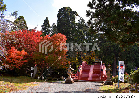 世界遺産　丹生都比売神社参道 35597837