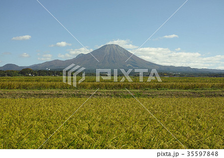 秋の伯耆富士　大山　西麓 35597848