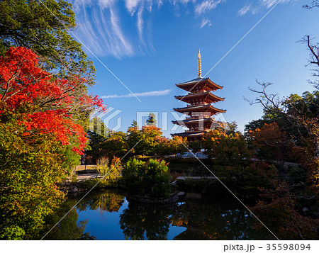 紅葉の五重塔 紅葉の五重塔 35598094