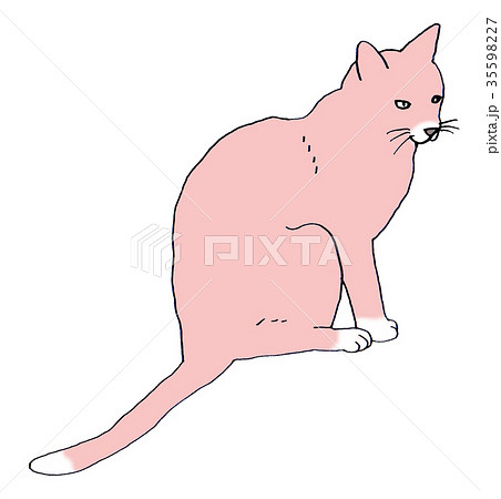 ネコの横姿のイラスト素材