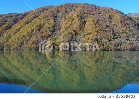 広瀬湖の水鏡 35598403