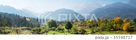 autumn panorama background with colorful trees 35598717