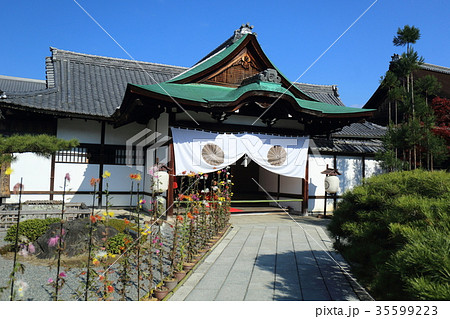 京都 大覚寺 式台玄関と嵯峨菊 の写真素材