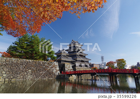 信州 松本の秋 紅葉に彩られる国宝松本城 現存12天守のひとつ 松本観光の中心 信州 松本の秋 紅葉に彩られる国宝松本城 現存12天守のひとつ 松本観光の中心 35599226