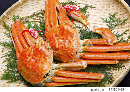 ズワイガニ 食材 ズワイガニ 食材 35599424